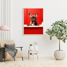 affiche chiot bouledogue français
