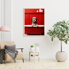affiche chiot bichon