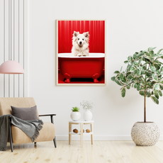 affiche chiot spitz