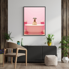 affiche suricate