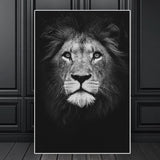 affiche lion