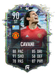 CAVANI