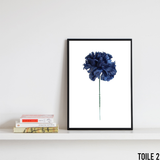 affiche fleur bleu