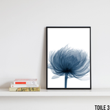 affiche fleur bleu