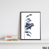 affiche fleur bleu